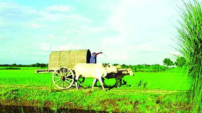 আবহাওয়া শুষ্ক থাকবে আজ