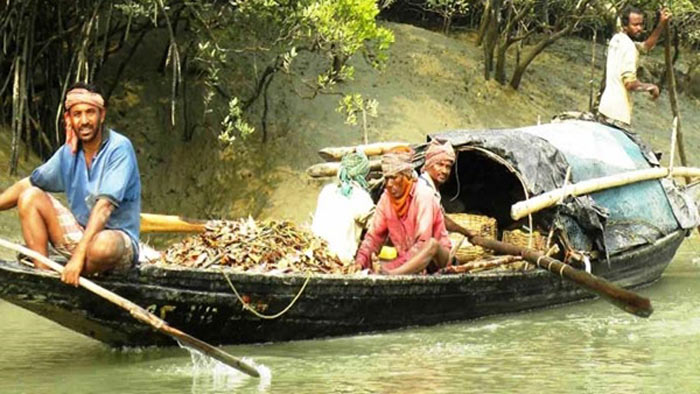 সুুন্দরবনে দুই মাসের জন্য মাছ ধরায় নিষেধাজ্ঞা