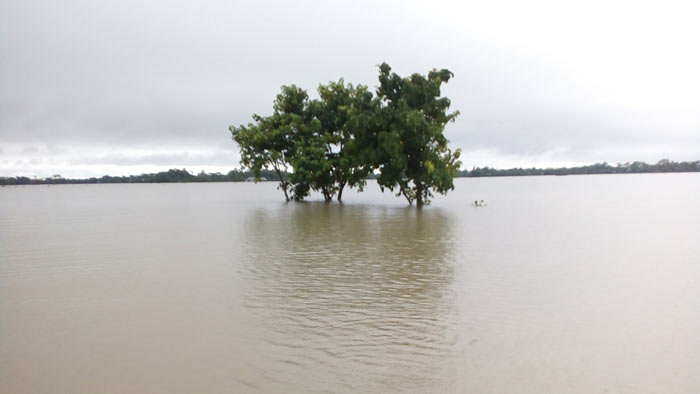 দোয়ারায় পাহাড়ি ঢলে আবারও ভয়াবহ বন্যা