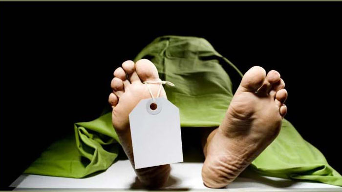 মাধবপুরে বড় ভাইয়ের হাতে ছোট ভাই খুন