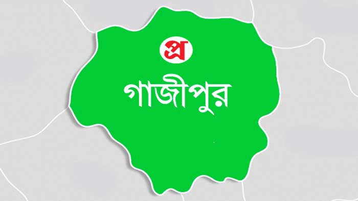 গাজীপুরে বাড়ীতে ঢুকে কলেজ ছাত্রীকে মারধর