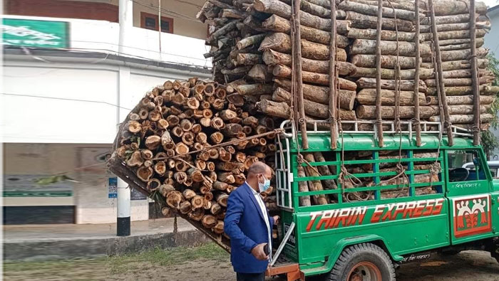 হাটহাজারীতে সাড়ে তিন লক্ষ টাকার কাঠসহ গাড়ি জব্দ
