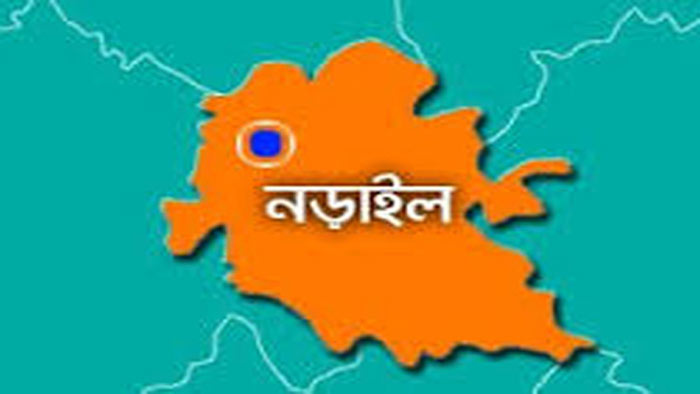 নড়াইলে বাসের ধাক্কায় ভ্যান চালকের মৃত্যু