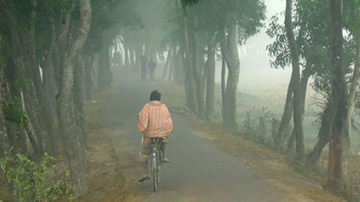 ঘন কুয়াশায় থমকে গেছে মাদারীপুর