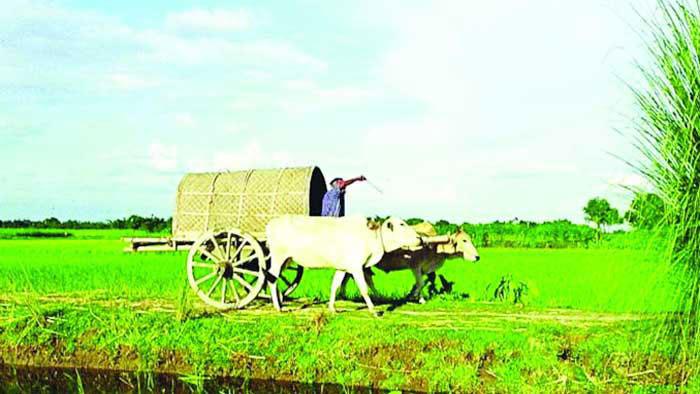 আজ সারাদেশের আবহাওয়া শুষ্ক থাকবে