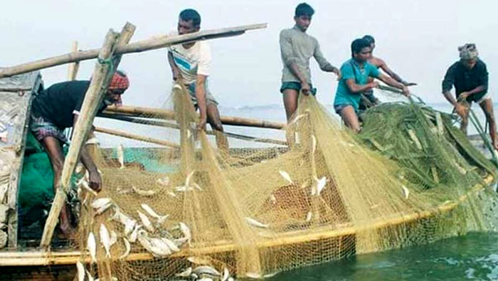 আজ থেকে দুই মাস ইলিশ ধরা বন্ধ!