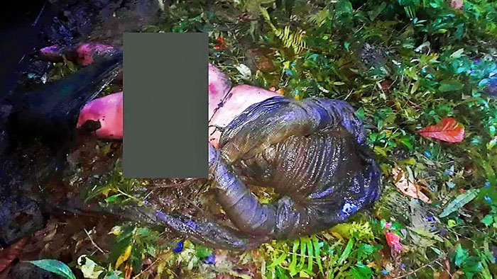 খাগড়াছড়ি মাটিরাঙ্গায় অপহরণের পর লাশ উদ্ধার