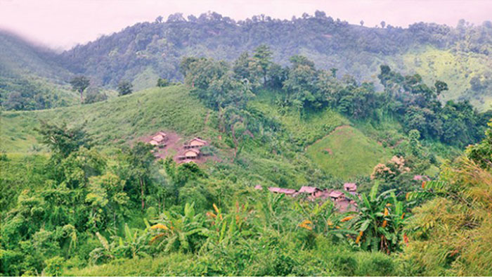 পাহাড়ের সৌন্দর্য