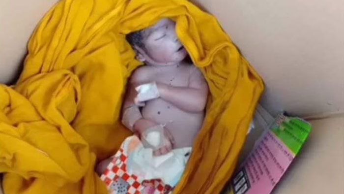 ঘাটাইলে রাইস কুকারের বাক্স থেকে নবজাতকের লাশ উদ্ধার