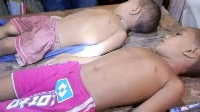 ঘাটাইলে ইঁদুরের বিষ খেয়ে আপন ভাই বোনের মৃত্যু