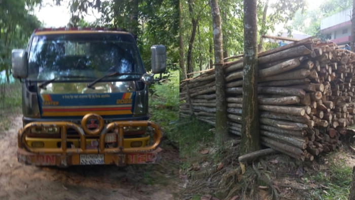 কক্সবাজারের পিএমখালীতে পাচারকালে কাঠভর্তি একটি ডাম্পার জব্দ