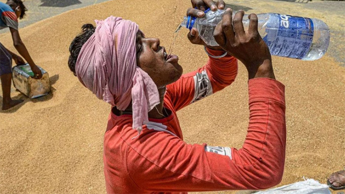 পশ্চিমবঙ্গে তাপমাত্রা ৪৪ ডিগ্রি