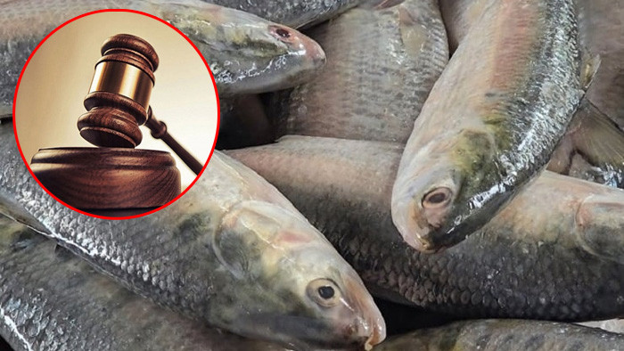 ভারতে ইলিশ রপ্তানি বন্ধে সরকারকে আইনি নোটিশ