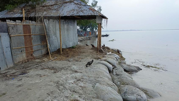 টানা বৃষ্টি ও উজানের ঢলে বাড়ছে তিস্তার পানি, প্লাবিত নিম্নাঞ্চল
