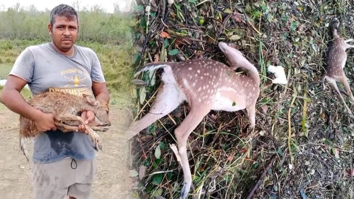 ঘূর্ণিঝড় রিমালের তান্ডবে বাগেরহাট জেলা জুড়ে ব্যাপক ক্ষয়ক্ষতি
