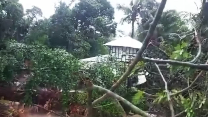 ঘূর্ণিঝড় রিমাল: শরণখোলায় গাছচাপায় নারীর মৃত্যু
