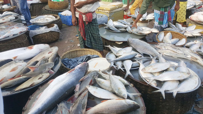 সিন্ডিকেটের কারণে লাগামহীন মাছ বাজার