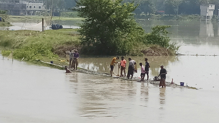 বাগমারায় বন্যায় নিম্নাঞ্চল ডুবে যাওয়ায় বাড়ছে সবজির দাম