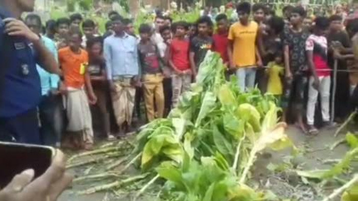 লালমনিরহাটে তামাক ক্ষেতে পুঁতে রাখা শিশুর লাশ উদ্ধার