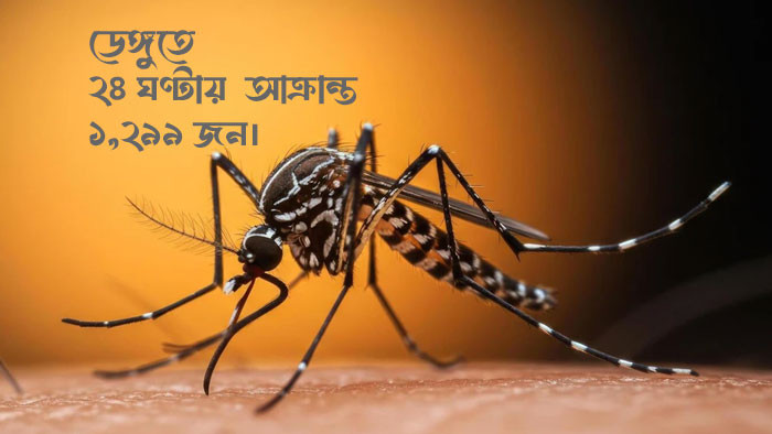 দেশে ডেঙ্গুতে এক দিনে আরও ৩ জনের মৃত্যু, হাসপাতালে ভর্তি ১ হাজার ২৯৯