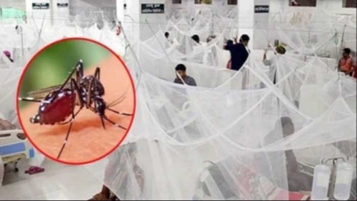 ডেঙ্গুতে কেড়ে নিল ১১৪ জনের প্রাণ ডেঙ্গুতে কেড়ে নিল ১১৪ জনের প্রাণ
