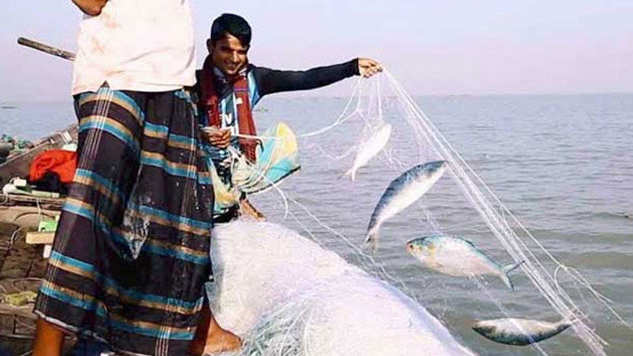 বৃহস্পতিবার থেকে ইলিশ ধরায় ২২ দিনের নিষেধাজ্ঞা
