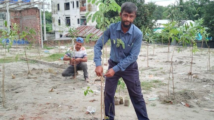 উপদেষ্টার হস্তক্ষেপে গাজীপুরের বনভূমি দখলমুক্ত করলো বন বিভাগ