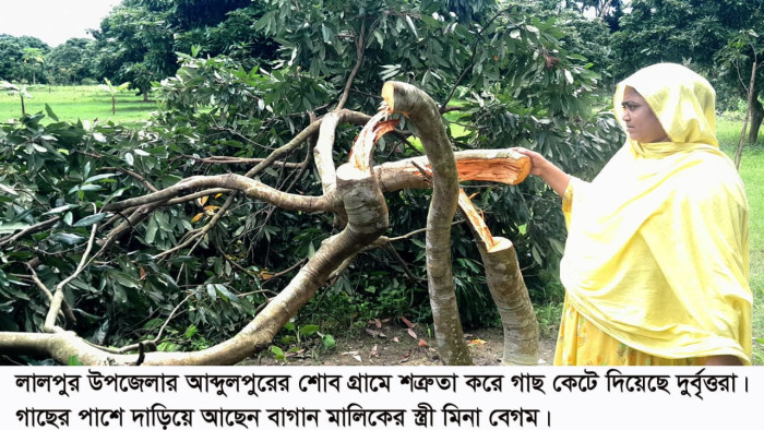 লালপুরে গাছের সাথে শত্রুতা