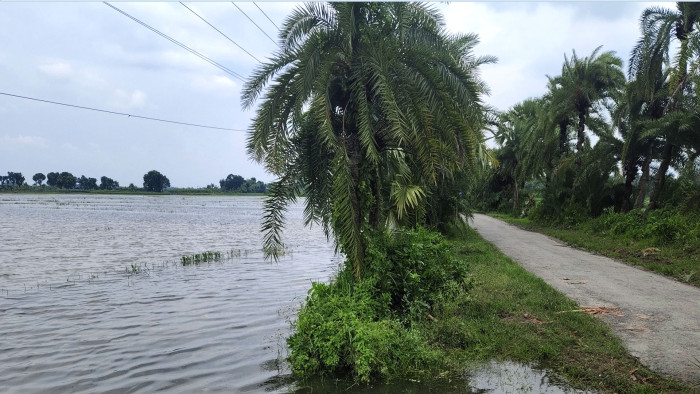ঝিনাইদহে বিএডিসির খাল এখন কৃষকের গলার কাঁটা