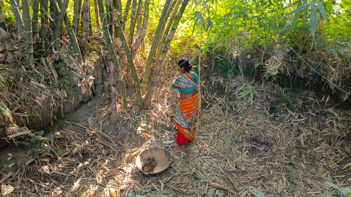 কালীগঞ্জে বাঁশ কেটে জীবিকা চলছে নারীদের