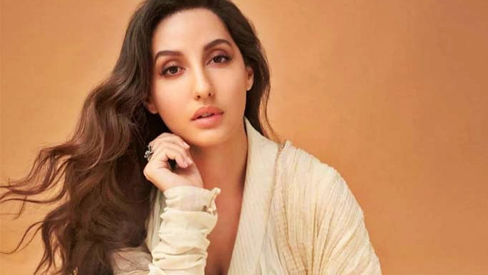 অভিনয় ছাড়ছেন নোরা ফাতেহি!