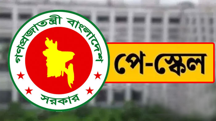 নতুন বেতন কাঠামো ২০২৬: আপনার মূল বেতন কত বাড়ছে ও যেভাবে করবেন পে ফিক্সেশন