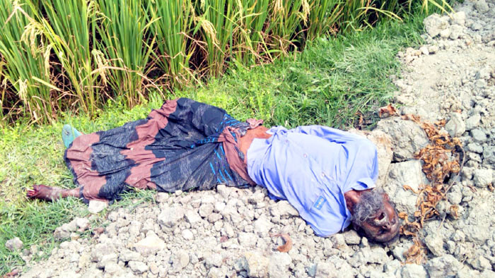 ধামইরহাটে ফসলের মাঠ থেকে বৃদ্ধের মরদেহ উদ্ধার