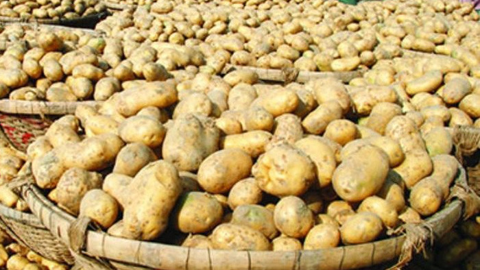 ২৬-২৭ টাকায় আলু বিক্রি নিশ্চিত করতে হবে