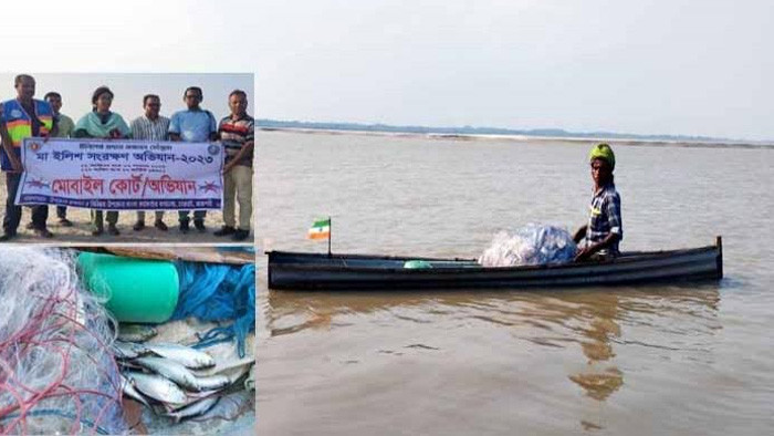 বাংলাদেশে নিষেধাজ্ঞা তবুও রাজশাহীর পদ্মা নদীতে ইলিশ মাছ ধরছে ভারতীয় জেলেরা