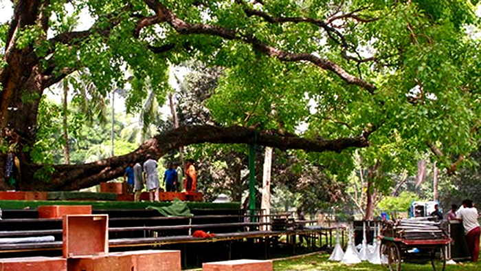 ২ শতাধিক নৃত্যশিল্পীর অংশগ্রহণে রমনা পার্কে বসন্তবরণের বর্ণাঢ্য আয়োজন