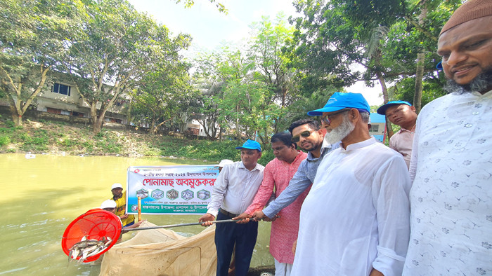 আক্কেলপুরে জাতীয় মৎস্য সপ্তাহ উদযাপন