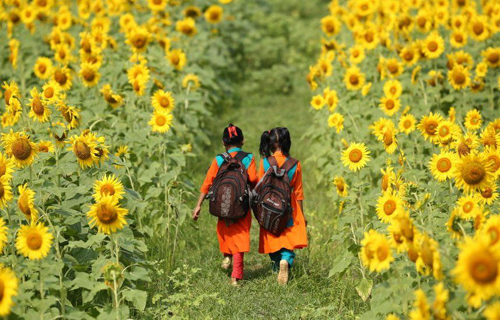 শিশুদের যৌন নির্যাতন একটি পর্যালোচনা