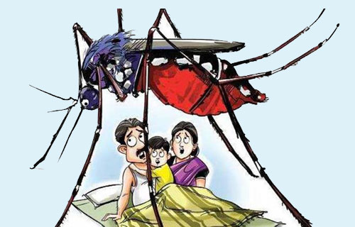 মশা মাছির উৎপাত ঝুঁকিতে স্বাস্থ্য জীবন