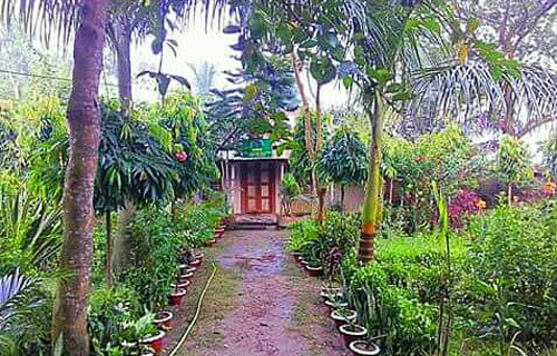 বিনোদনের জায়গা বৃক্ষের হাট