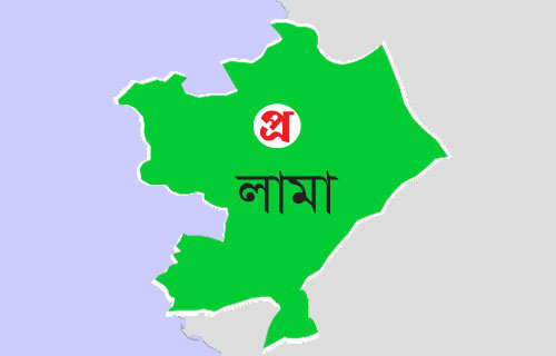 লামায় নির্বাচনে নিযোজিত গাড়ি উল্টে আহত ২০